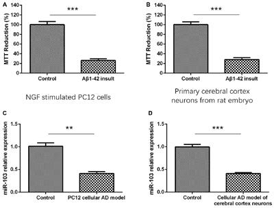 miR-103 Promotes Neurite Outgrowth and Suppresses Cells Apoptosis by Targeting Prostaglandin-Endoperoxide Synthase 2 in Cellular Models of Alzheimer’s Disease